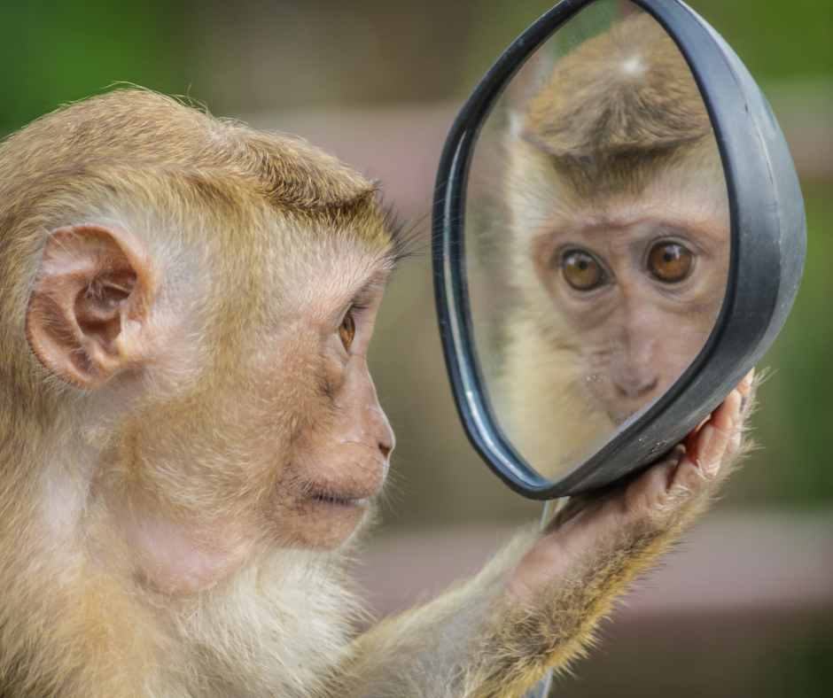 Training AI for customized support needs a clear mirror